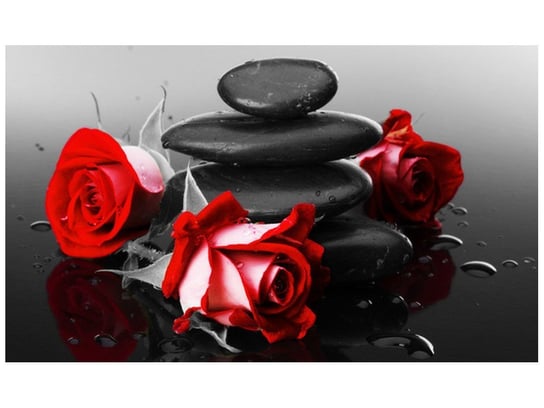 Fototapeta, Roses and spa, 9 elementów, 402x240 cm Oobrazy