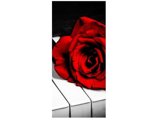 Fototapeta, Róża na fortepianie, 1 element, 95x205 cm Oobrazy