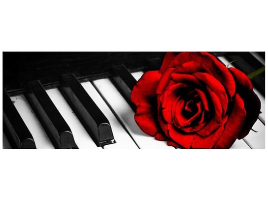Fototapeta, Róża na fortepianie, 2 elementy, 268x100 cm Oobrazy