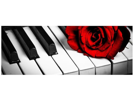 Fototapeta, Róża na fortepianie, 2 elementy, 268x100 cm Oobrazy