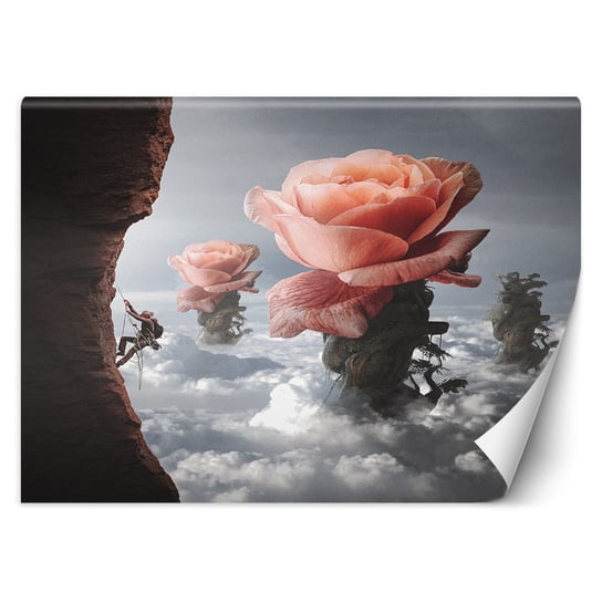 Fototapeta Róża ponad chmury - Zehem Chong 150x105 Feeby