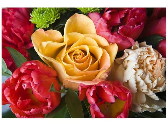 Fototapeta, Róża w bukiecie, 1 element, 200x135 cm Oobrazy