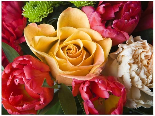 Fototapeta, Róża w bukiecie, 2 elementy, 200x150 cm Oobrazy