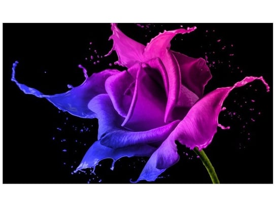 Fototapeta, Róża z farb - Jakub Banaś, 9 elementów, 402x240 cm Oobrazy
