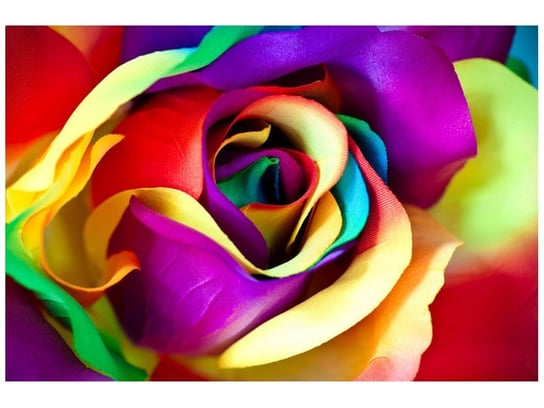 Fototapeta Róża z materiału, 8 elementów, 400x268 cm Oobrazy