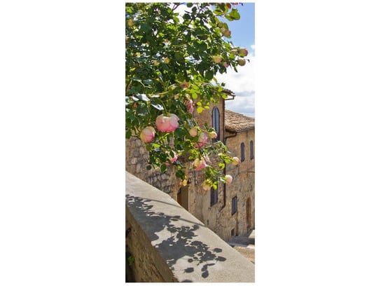 Fototapeta Róże na balkonie, 95x205 cm Oobrazy