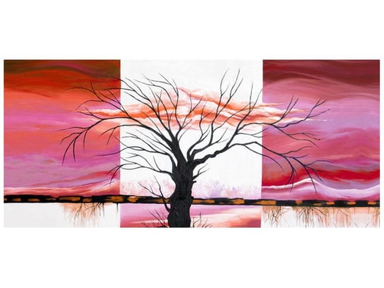 Fototapeta, Rozłożyste drzewo o zachodzie słońca, 12 elementów, 536x240 cm Oobrazy