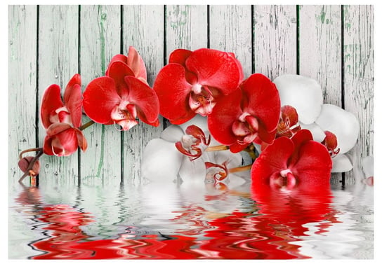 Fototapeta, Rubinowa orchidea, 100x70 cm DecoNest