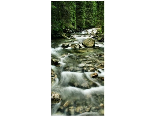 Fototapeta Rzeka w Tatrach, 95x205 cm Oobrazy