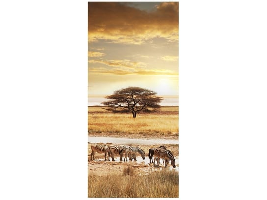 Fototapeta Safari, 95x205 cm Oobrazy