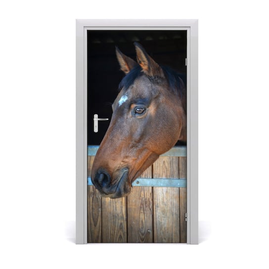 Fototapeta samoprzylepna na drzwi Stajnia koń, Tulup Tulup