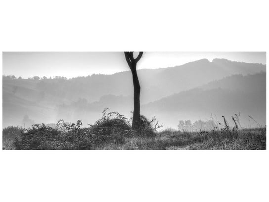 Fototapeta Samotne drzewo, 2 elementy, 268x100 cm Oobrazy