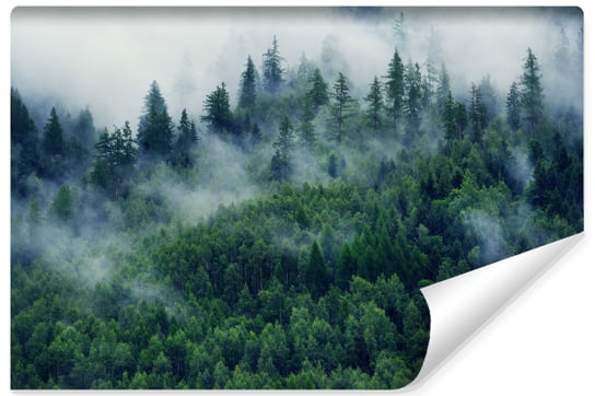 Fototapeta Ścienna Do Salonu MGŁA W Górskim Lesie Pejzaż 3D Natura 300cm x 210cm Muralo