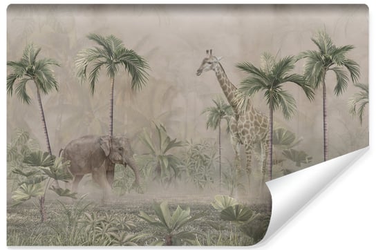 Fototapeta Ścienna Dzikie ZWIERZĘTA Las Tropikalny Mgła Abstrakcja 450cm x 300cm Muralo