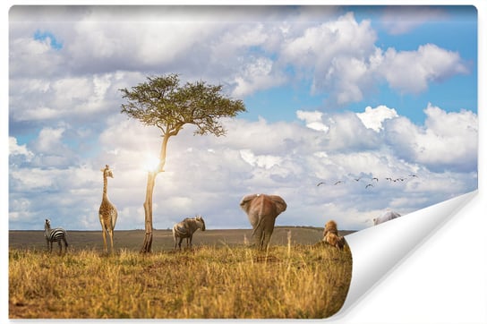 Fototapeta Ścienna ZWIERZĘTA Safari Słońce Natura Pejzaż Efekt 3D 135cm x 90cm Muralo