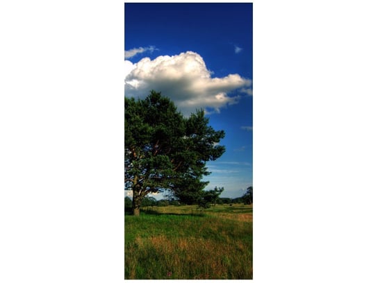 Fototapeta Silne drzewa, 95x205 cm Oobrazy