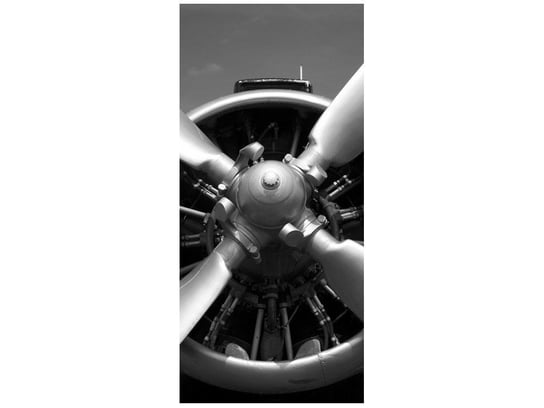 Fototapeta Silnik samolotowy, 95x205 cm Oobrazy