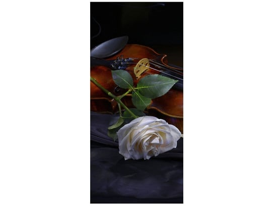 Fototapeta Skrzypce z różą, 95x205 cm Oobrazy