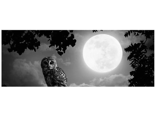Fototapeta Sowa przy pełni księżyca, 2 elementy, 268x100 cm Oobrazy