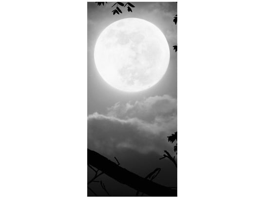 Fototapeta Sowa przy pełni księżyca, 95x205 cm Oobrazy
