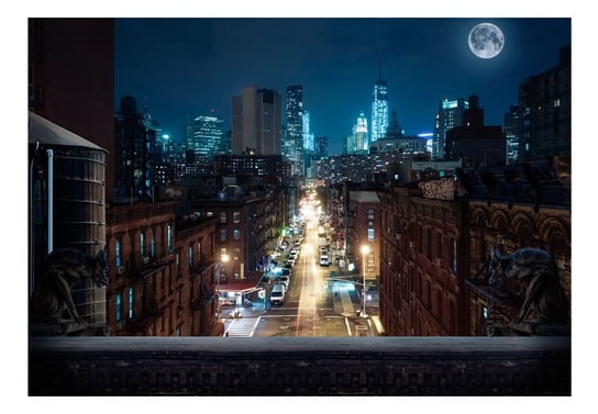 Fototapeta, Śpiący Nowy Jork, 100x70 cm DecoNest