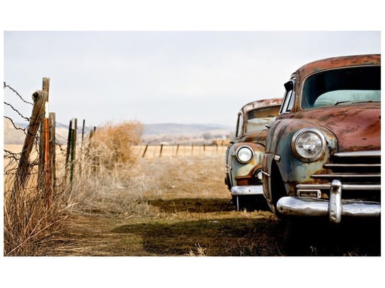 Fototapeta, Stare samochody, 8 elementów, 412x248 cm Oobrazy
