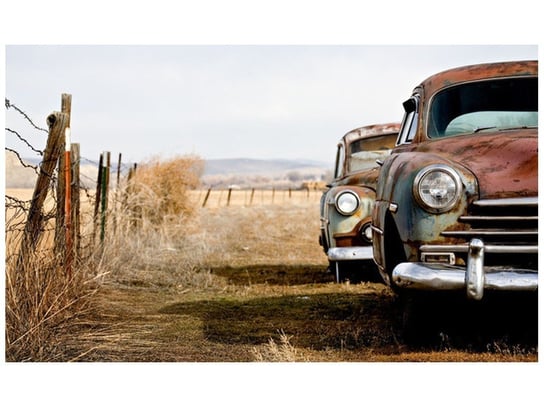 Fototapeta, Stare samochody, 9 elementów, 402x240 cm Oobrazy