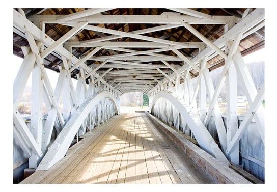 Fototapeta, Stary most, 150x105 cm DecoNest