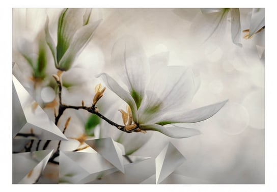 Fototapeta, Subtelne magnolie, drugi wariant, 100x70 cm DecoNest