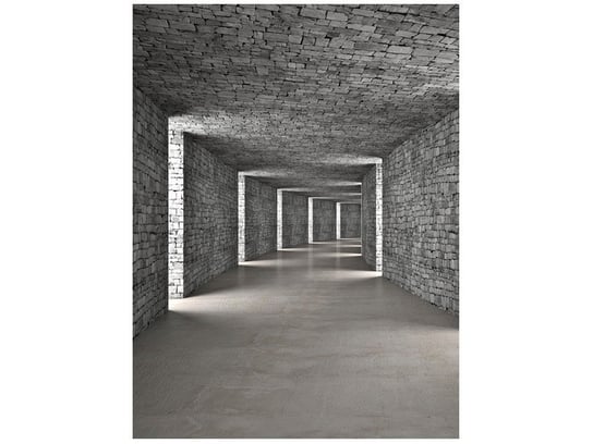 Fototapeta, Szary tunel, 2 elementy, 150x200 cm Oobrazy