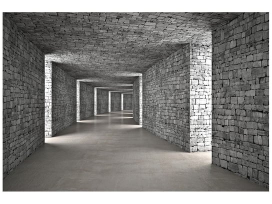 Fototapeta, Szary tunel, 8 elementów, 368x248 cm Oobrazy