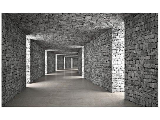 Fototapeta, Szary tunel, 8 elementów, 412x248 cm Oobrazy