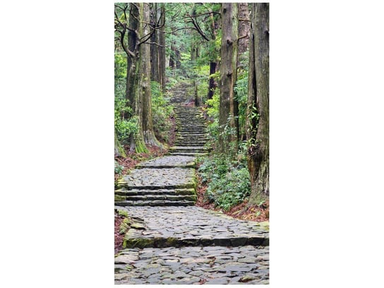 Fototapeta Szlak na Wakayama w Japonii, 2 elementy, 110x200 cm Oobrazy