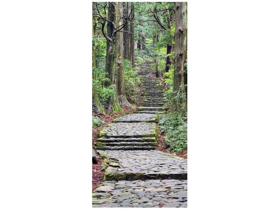 Fototapeta Szlak na Wakayama w Japonii, 95x205 cm Oobrazy
