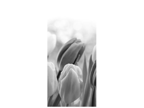 Fototapeta Tulipan, 95x205 cm Oobrazy