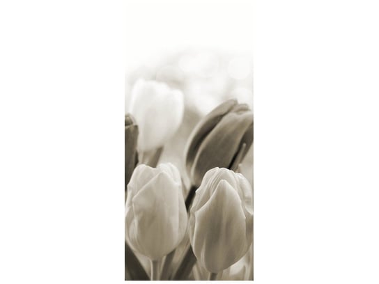 Fototapeta Tulipany, 95x205 cm Oobrazy