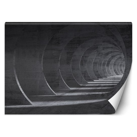 Fototapeta, Tunel szary 3D - 400x280 Inna marka