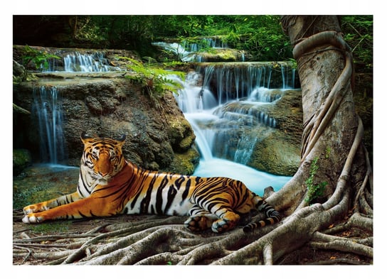 Fototapeta TYGRYS WODOSPAD 3D Dżungla 254x184 Consalnet