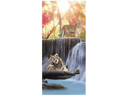 Fototapeta Tygrysy przy wodospadzie, 95x205 cm Oobrazy