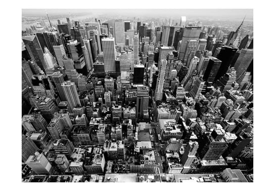 Fototapeta, USA, Nowy Jork: czarno-biały, 200X154 DecoNest
