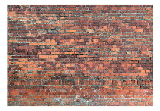 Fototapeta, Vintage Wall (Red Brick), 250x175 cm DecoNest