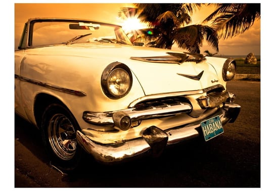 Fototapeta, Viva Havana!, 250X193 DecoNest