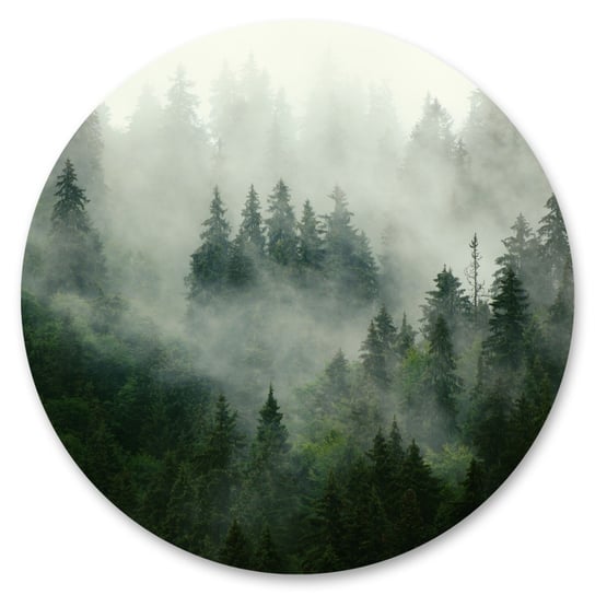 Fototapeta W Kole Drzewa Mgła Krajobraz 3D Las Przyroda Dekoracja 100Cm X 100Cm Muralo