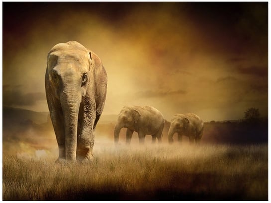 Fototapeta Wędrujące słonie, 2 elementy, 200x150 cm Oobrazy