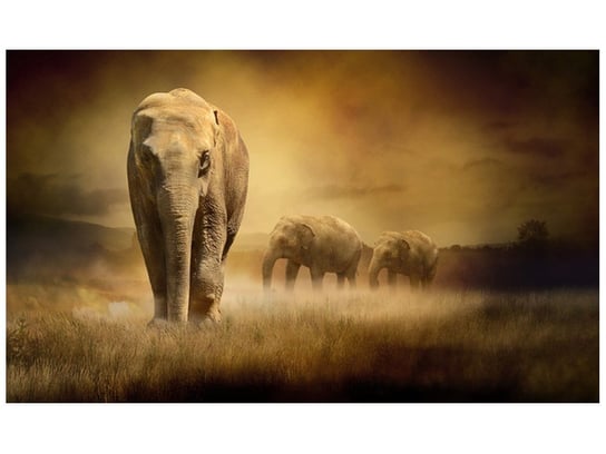 Fototapeta, Wędrujące słonie, 9 elementów, 402x240 cm Oobrazy