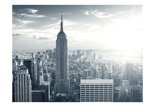 Fototapeta, Widok na nowojorski Manhattan o świcie, 200X154 DecoNest