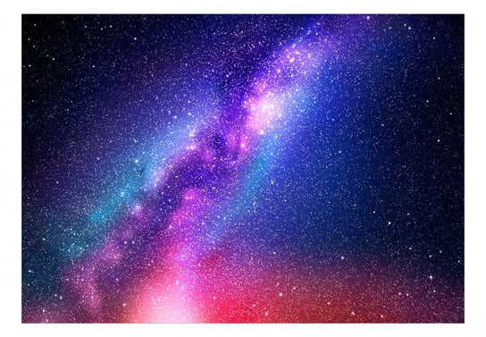 Fototapeta, Wielka galaktyka, 100x70 cm DecoNest