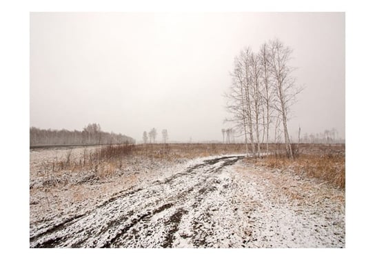 Fototapeta, Winter field, 200X154 DecoNest
