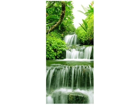Fototapeta, Wodospad w lesie deszczowym, 1 elementów, 95x205 cm Oobrazy
