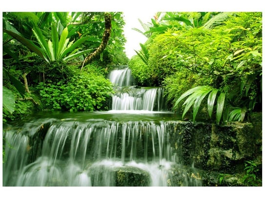 Fototapeta, Wodospad w lesie deszczowym, 8 elementów, 368x248 cm Oobrazy